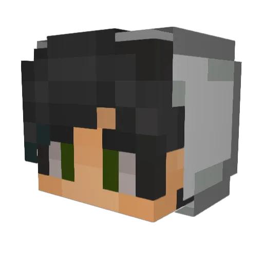 By_TheSng Minecraft avatar head, 3D render