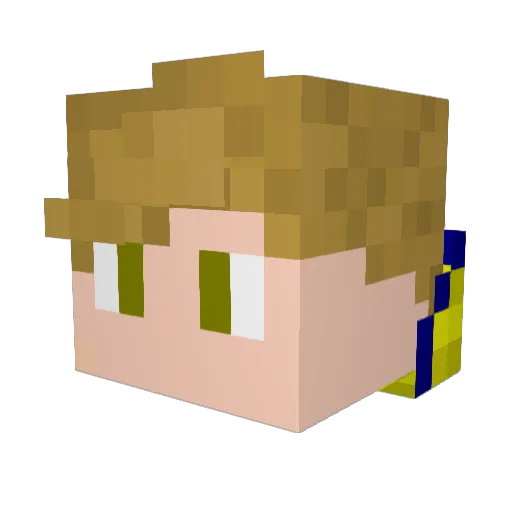 Bycatch Minecraft avatar head, 3D render