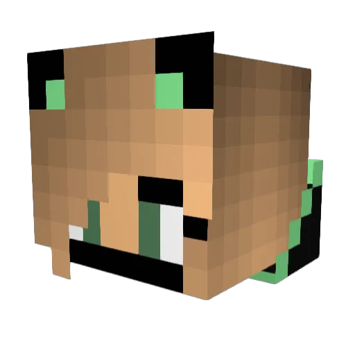 Bydolfi Minecraft avatar head, 3D render