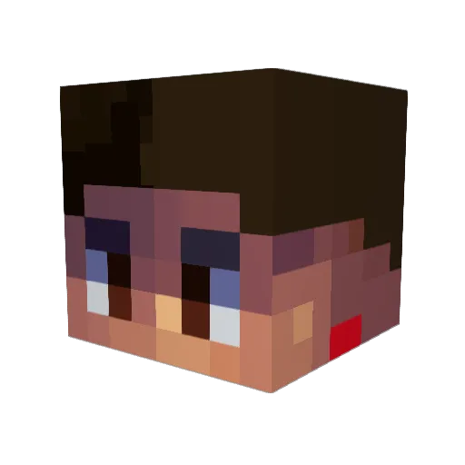ByeADD Minecraft avatar head, 3D render