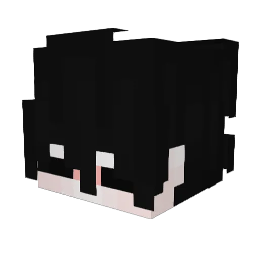 ByeArda Minecraft avatar head, 3D render