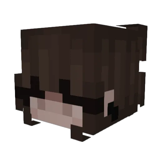 ByeByeBlood Minecraft avatar head, 3D render