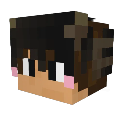 ByeByeServer Minecraft avatar head, 3D render