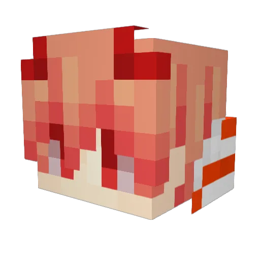 Byggmesterbob29 Minecraft avatar head, 3D render