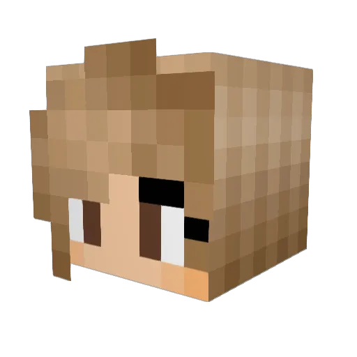 BygoneHickory27 Minecraft avatar head, 3D render