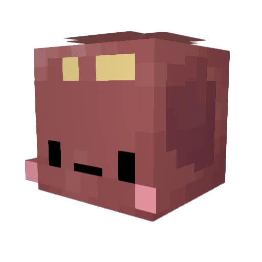 Bygoyo Minecraft avatar head, 3D render