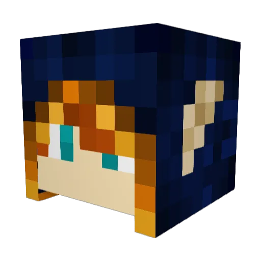 Bynight_raider Minecraft avatar head, 3D render