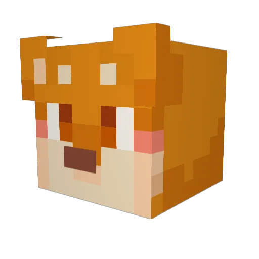ByoWT Minecraft avatar head, 3D render