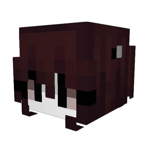 BypassKyu Minecraft avatar head, 3D render