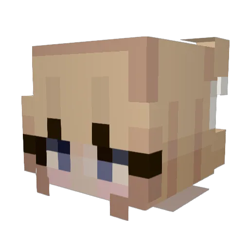 Byrnebag Minecraft avatar head, 3D render