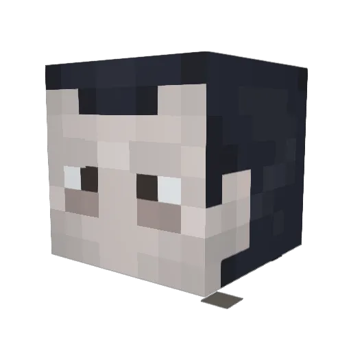 Byrns Minecraft avatar head, 3D render