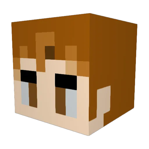 ByronRr13 Minecraft avatar head, 3D render