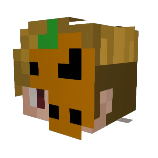 BystryToJa Minecraft avatar head, 3D render
