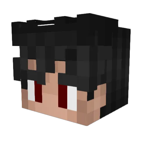 Byter25 Minecraft avatar head, 3D render