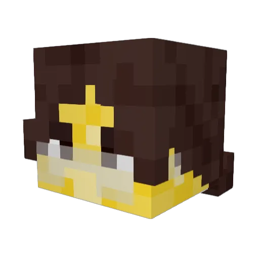 Bzhzh Minecraft avatar head, 3D render