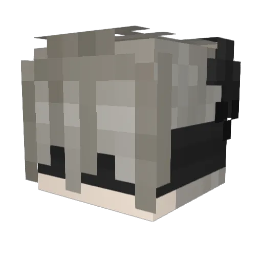 Bzweigg Minecraft avatar head, 3D render