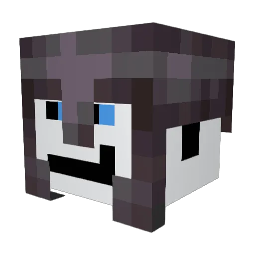 C00LEB0Y Minecraft avatar head, 3D render