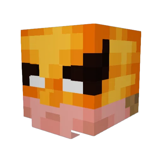 C00NR Minecraft avatar head, 3D render