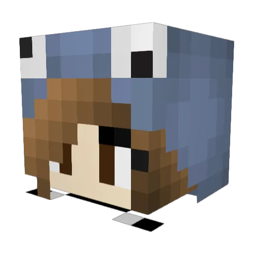 C00kIeM0nST Minecraft avatar head, 3D render