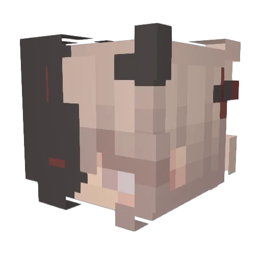 C00kie_Player Minecraft avatar head, 3D render