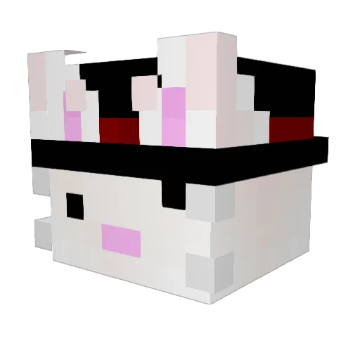 C00lBunnyLOL Minecraft avatar head, 3D render