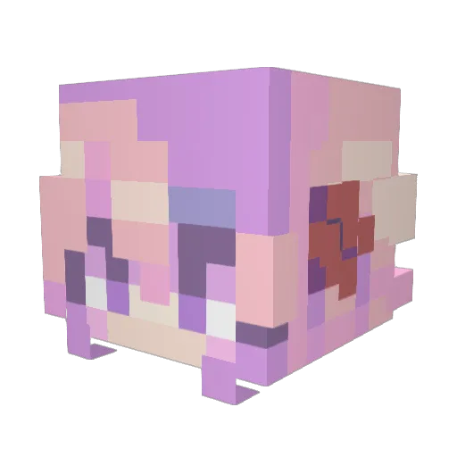 C00lZzz Minecraft avatar head, 3D render