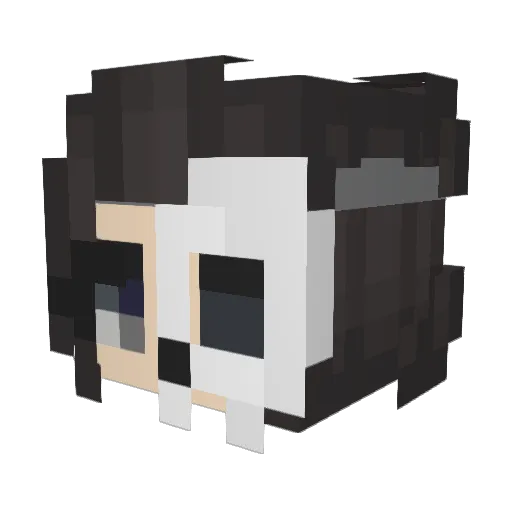 C00ler5 Minecraft avatar head, 3D render