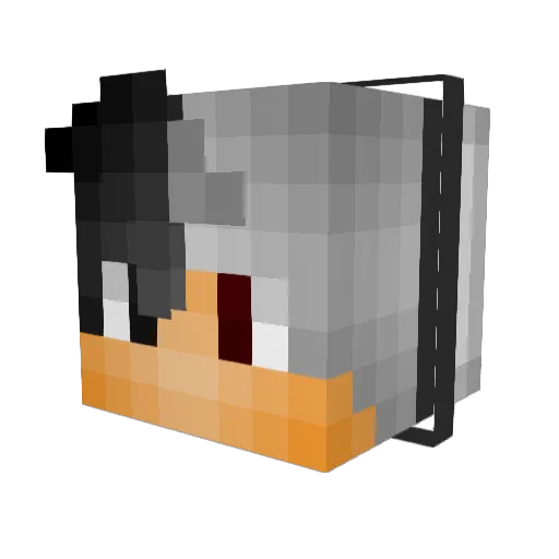 C00lrunnings99 Minecraft avatar head, 3D render