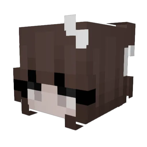C08ALT Minecraft avatar head, 3D render