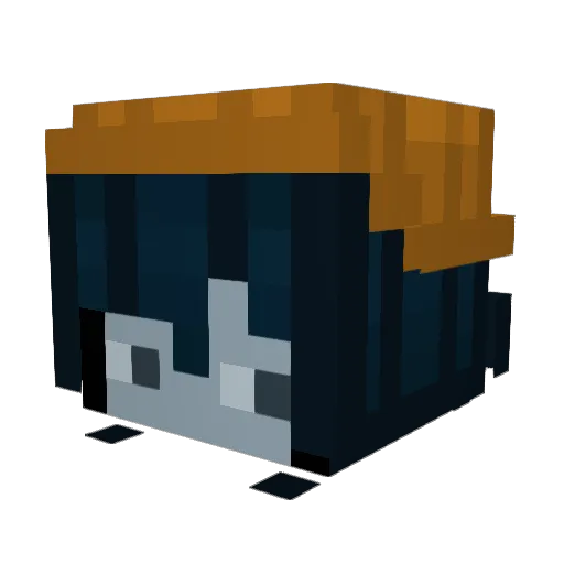 C0D5 Minecraft avatar head, 3D render