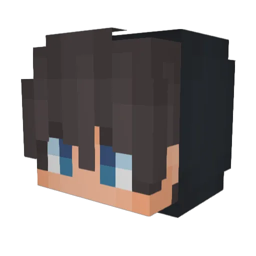 C0EH Minecraft avatar head, 3D render