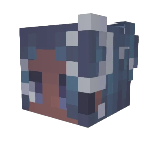 C0FF1NB0Y Minecraft avatar head, 3D render
