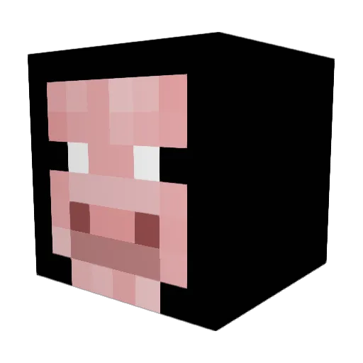 C0MPA_FEL1X Minecraft avatar head, 3D render