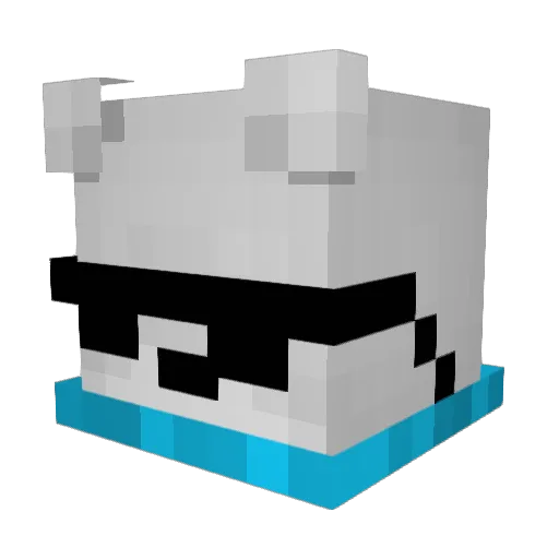 C0NAR Minecraft avatar head, 3D render