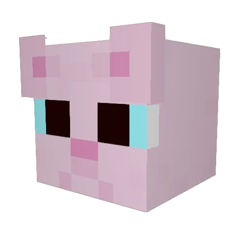 C0NST3LL4T10N Minecraft avatar head, 3D render