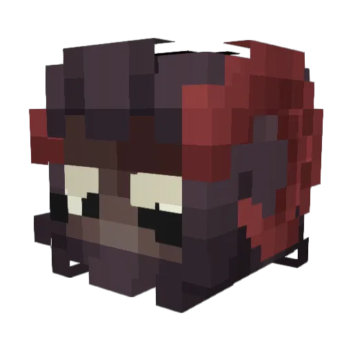 C0NSTANT Minecraft avatar head, 3D render