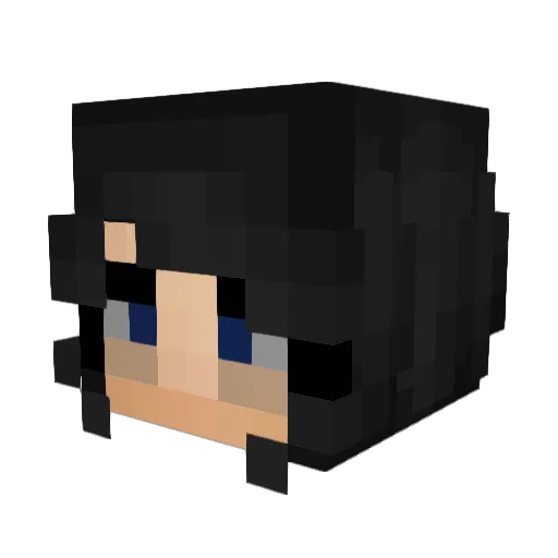 C0RDINATED Minecraft avatar head, 3D render
