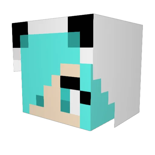 C0RND0GS Minecraft avatar head, 3D render