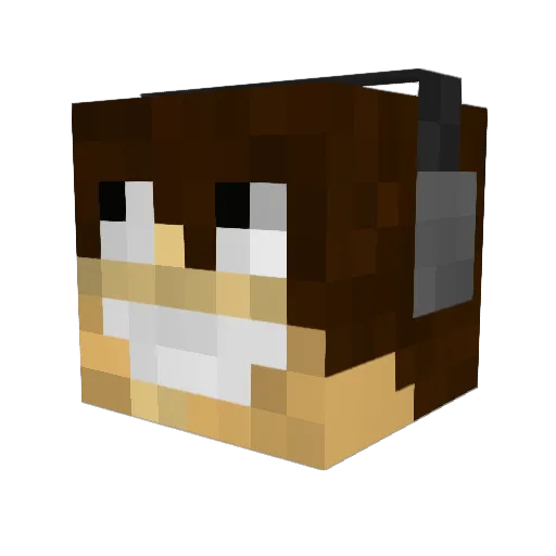 C0WAN Minecraft avatar head, 3D render