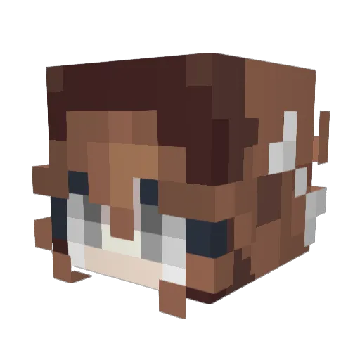 C0d3_P0l1uX Minecraft avatar head, 3D render