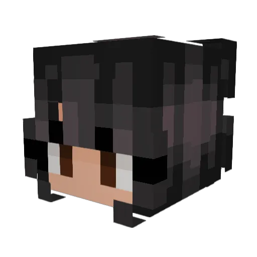 C0de_Err0r Minecraft avatar head, 3D render