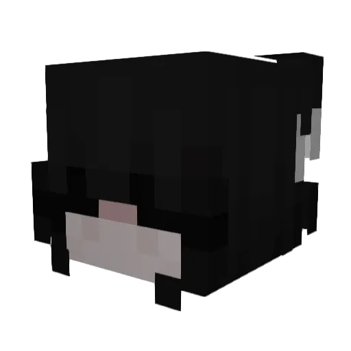 C0ffeeBoba Minecraft avatar head, 3D render