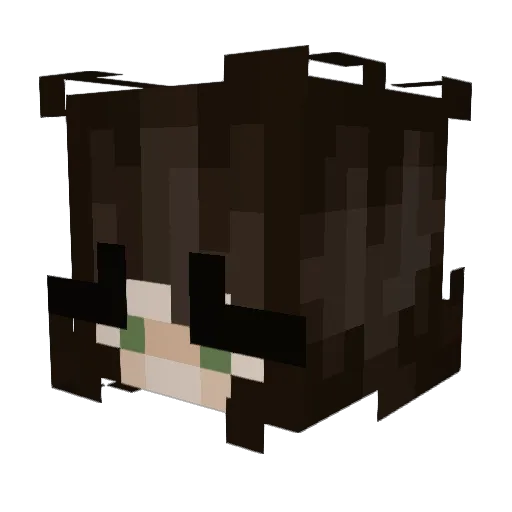 C0ffeeBoi Minecraft avatar head, 3D render