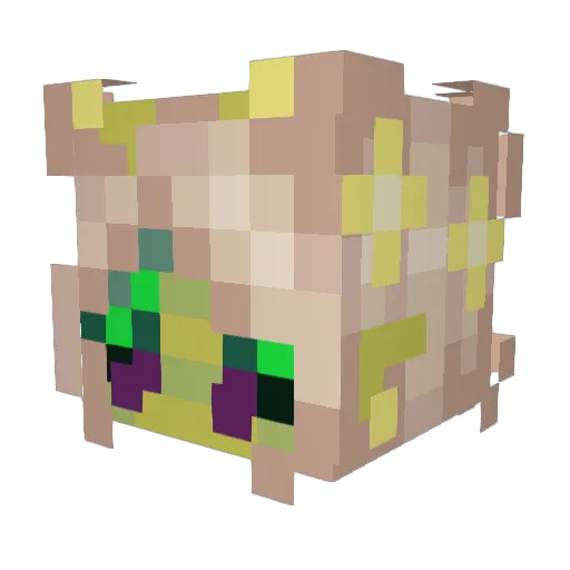 C0ffin_ Minecraft avatar head, 3D render