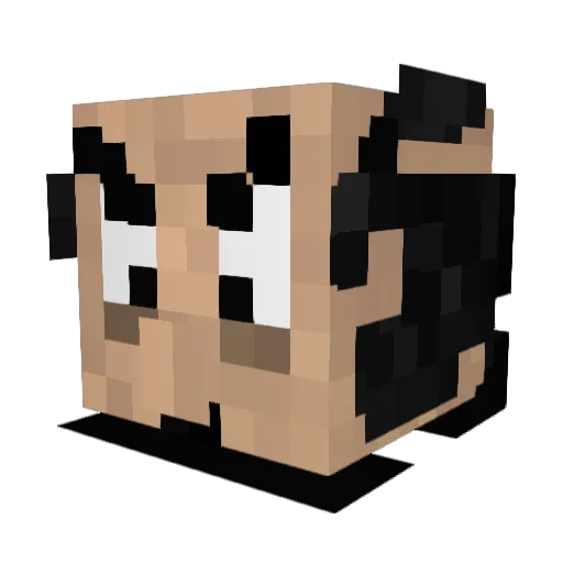 C0keBums Minecraft avatar head, 3D render