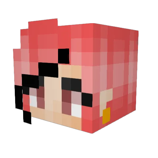 C0leTra1n Minecraft avatar head, 3D render