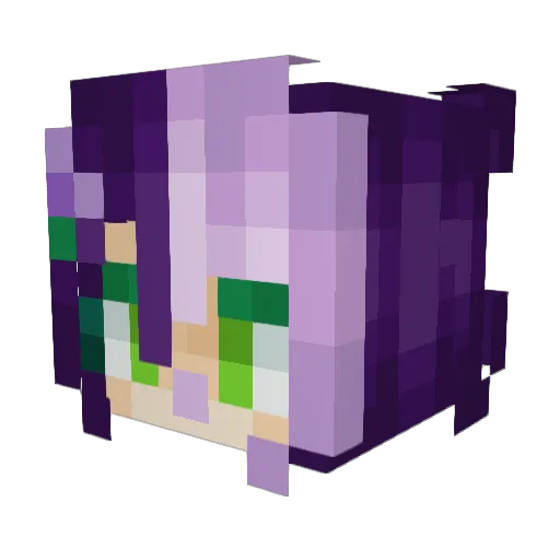 C0lorwheel Minecraft avatar head, 3D render