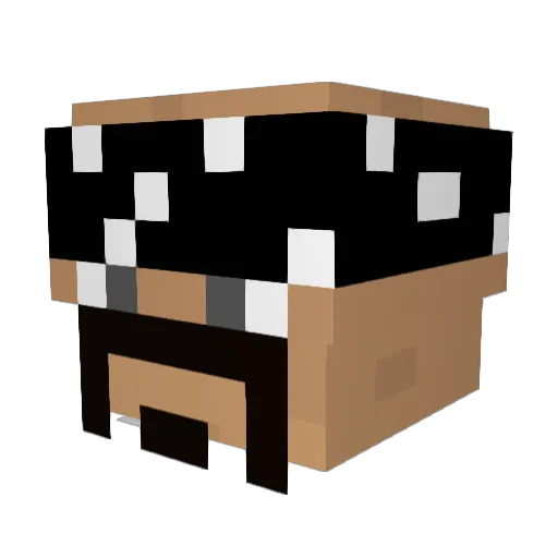 C0mbo11 Minecraft avatar head, 3D render