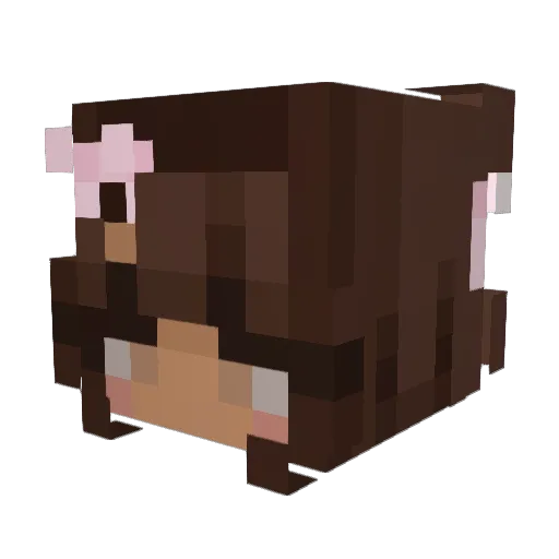 C0mmandKill Minecraft avatar head, 3D render