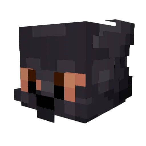 C0mmunizm96 Minecraft avatar head, 3D render
